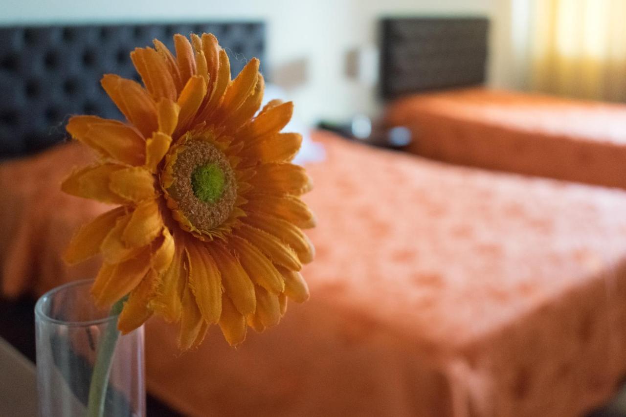 Hostal Solari 特鲁希略 外观 照片